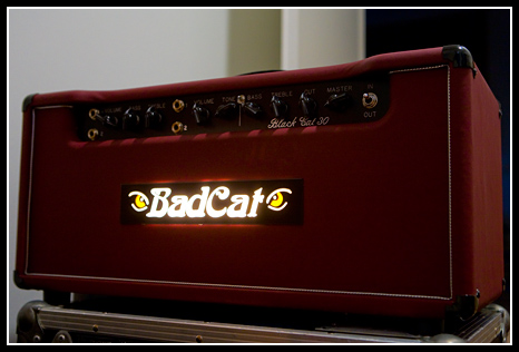 Bad Cat Black Cat 30, 2007