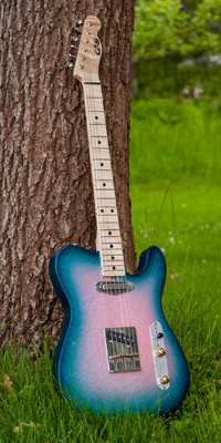 GAS Guitarworks Telecaster (2016), Finland