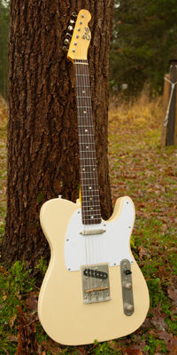 GAS Guitarworks Telecaster (2016), Finland